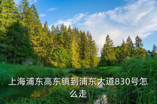 上海浦東高東鎮到浦東大道830號怎么走