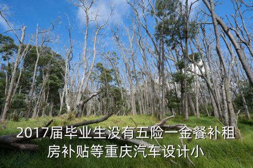 2017屆畢業生沒有五險一金餐補租房補貼等重慶汽車設計小