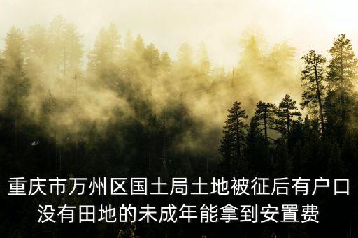 重慶市萬州區國土局土地被征后有戶口沒有田地的未成年能拿到安置費