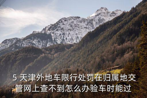  5 天津外地車限行處罰在歸屬地交管網上查不到怎么辦驗車時能過