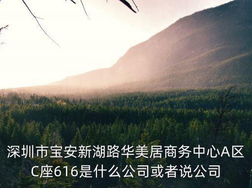 深圳市寶安新湖路華美居商務中心A區C座616是什么公司或者說公司