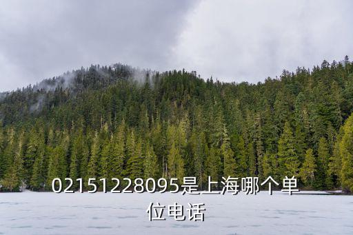02151228095是上海哪個單位電話
