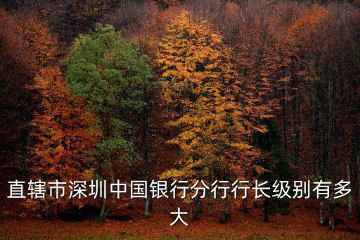 直轄市深圳中國銀行分行行長級(jí)別有多大