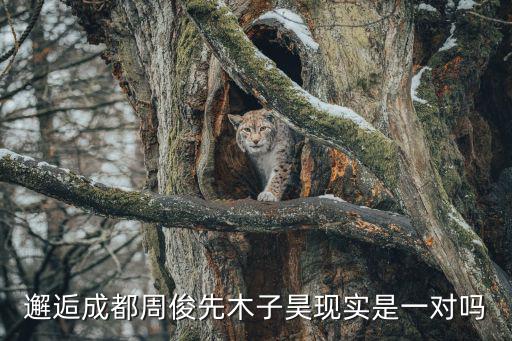 邂逅成都周俊先木子昊現(xiàn)實(shí)是一對嗎