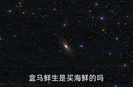 盒馬鮮生是買海鮮的嗎