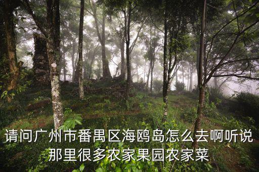 請問廣州市番禺區海鷗島怎么去啊聽說那里很多農家果園農家菜