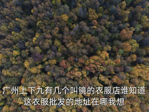 廣州上下九有幾個叫鏡的衣服店誰知道這衣服批發的地址在哪我想