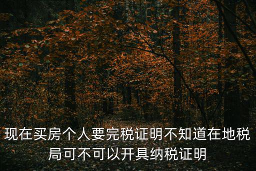 現(xiàn)在買房個(gè)人要完稅證明不知道在地稅局可不可以開具納稅證明