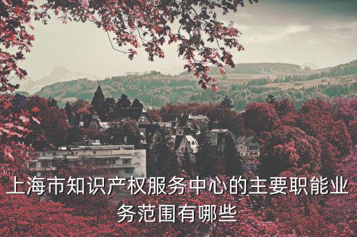 上海市知識產權服務中心的主要職能業務范圍有哪些