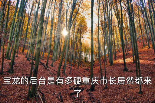 寶龍的后臺是有多硬重慶市長居然都來了