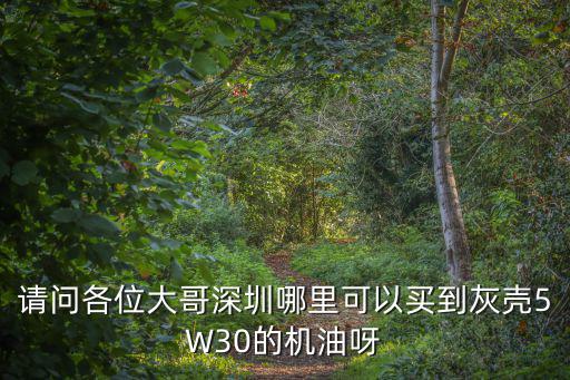 深圳山姆機油，深圳在哪能買到正品殼牌機油除了保稅區那間殼牌加油站