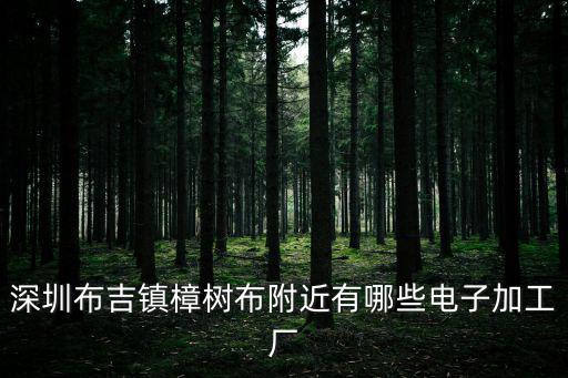 深圳市漢寶電子有限公司，深圳布吉鎮樟樹布附近有哪些電子加工廠