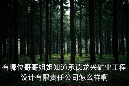 有哪位哥哥姐姐知道承德龍興礦業工程設計有限責任公司怎么樣啊