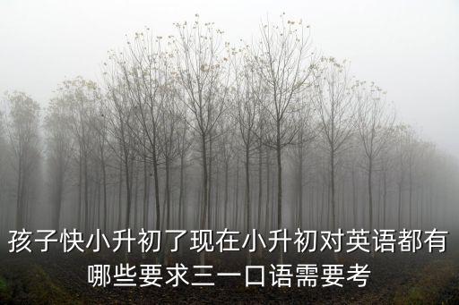 上海市統一小升初英語口試，孩子快小升初了現在小升初對英語都有哪些要求三一口語需要考