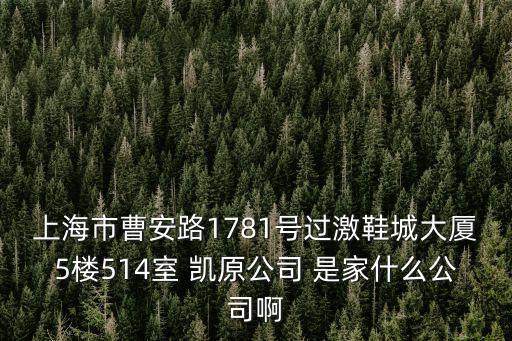 上海市洵陽路小學 梁曉武，上海市曹安路1781號過激鞋城大廈5樓514室 凱原公司 是家什么公司啊