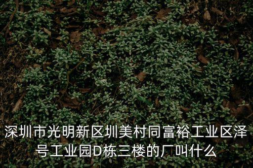 深圳市光明新區圳美村同富裕工業區澤號工業園D棟三樓的廠叫什么