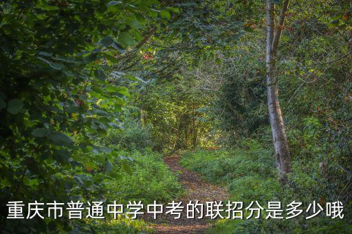 重慶市普通中學中考的聯招分是多少哦