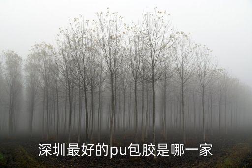 深圳最好的pu包膠是哪一家