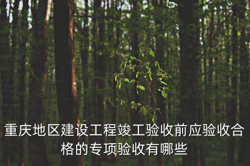 重慶地區建設工程竣工驗收前應驗收合格的專項驗收有哪些