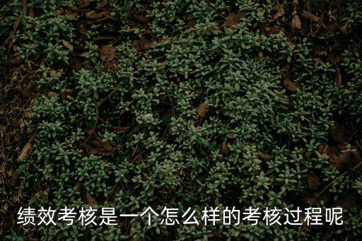 績效考核是一個怎么樣的考核過程呢