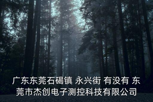 廣東東莞石碣鎮(zhèn) 永興街 有沒有 東莞市杰創(chuàng)電子測控科技有限公司