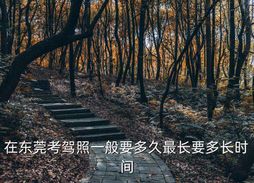 東莞快速考駕駛證，東莞市在哪里考駕駛證