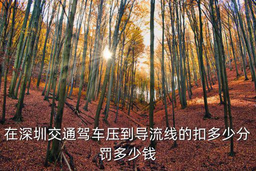 在深圳交通駕車壓到導流線的扣多少分罰多少錢