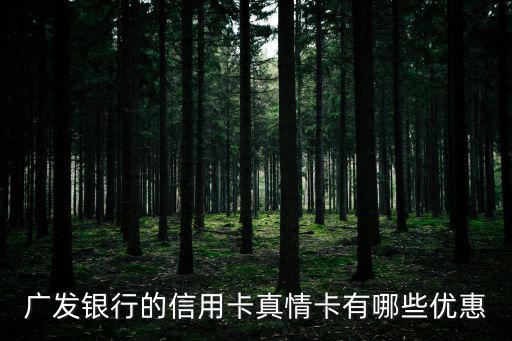 廣發銀行的信用卡真情卡有哪些優惠