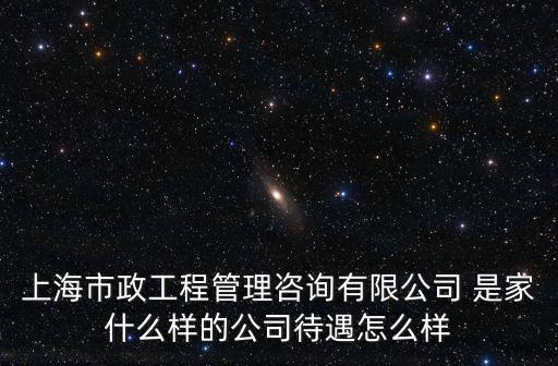 上海市政工程管理咨詢有限公司 是家什么樣的公司待遇怎么樣