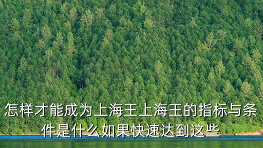 怎樣才能成為上海王上海王的指標與條件是什么如果快速達到這些