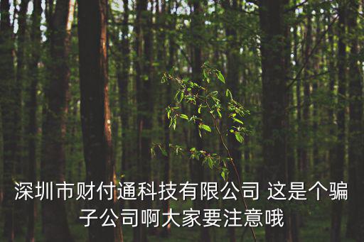 深圳市財付通科技有限公司 這是個騙子公司啊大家要注意哦