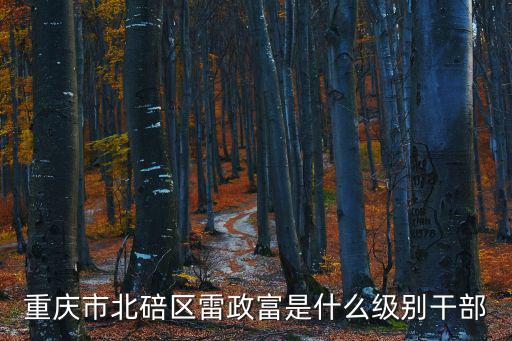 重慶市北碚區雷政富是什么級別干部