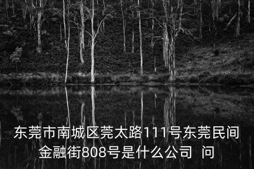 東莞市南城區(qū)莞太路111號東莞民間金融街808號是什么公司  問