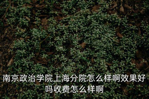 南京政治學院上海分院怎么樣啊效果好嗎收費怎么樣啊