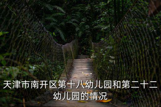 天津市南開區(qū)第十八幼兒園和第二十二幼兒園的情況