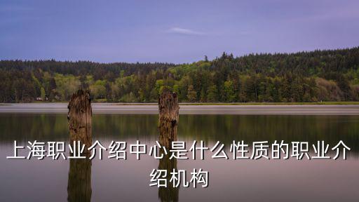 上海職業(yè)介紹中心是什么性質(zhì)的職業(yè)介紹機構(gòu)
