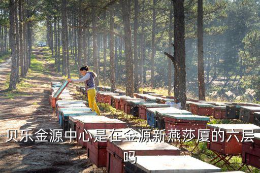 東莞金源中心酒店嗎，貝樂金源中心是在金源新燕莎廈的六層嗎
