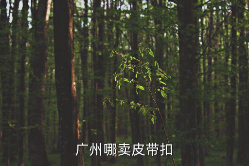 廣州哪賣皮帶扣
