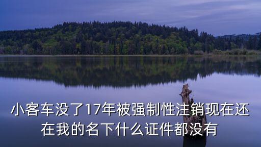 小客車沒了17年被強制性注銷現在還在我的名下什么證件都沒有