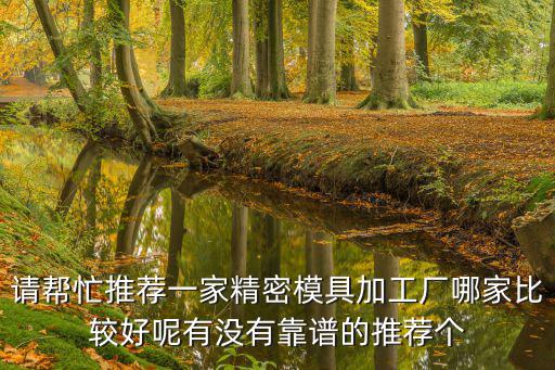 東莞瑪雅精密模具有限公司怎么樣，精密非標模具配件哪家比較好