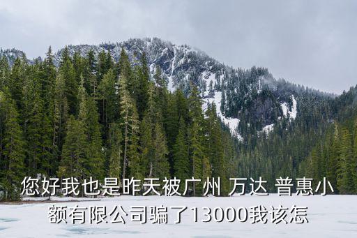 您好我也是昨天被廣州 萬達 普惠小額有限公司騙了13000我該怎