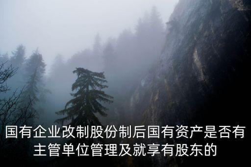 國有企業改制股份制后國有資產是否有主管單位管理及就享有股東的