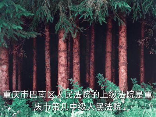 重慶市巴南區(qū)人民法院的上級法院是重慶市第幾中級人民法院
