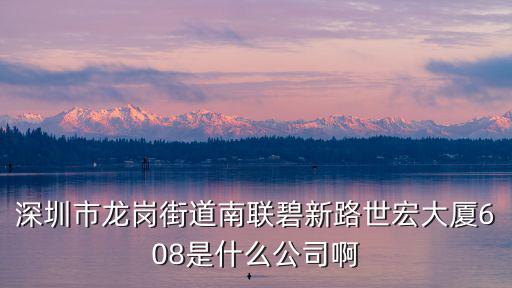 深圳市龍崗街道南聯(lián)碧新路世宏大廈608是什么公司啊