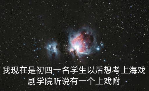 上海市上戲附中藝術(shù)，上海藝術(shù)類高中