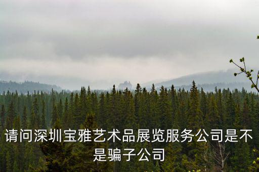 深圳寶雅藝術(shù)品公司，寶雅藝術(shù)品有限公司待遇怎么樣
