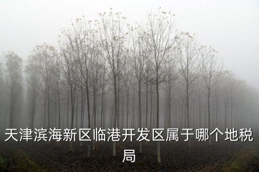 天津市市區(qū)各地稅局指哪些，天津濱海新區(qū)臨港開發(fā)區(qū)屬于哪個地稅局