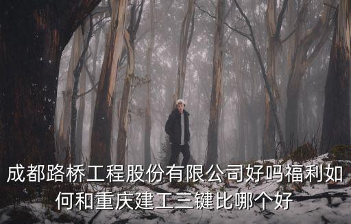 成都路橋工程股份有限公司好嗎福利如何和重慶建工三鍵比哪個(gè)好