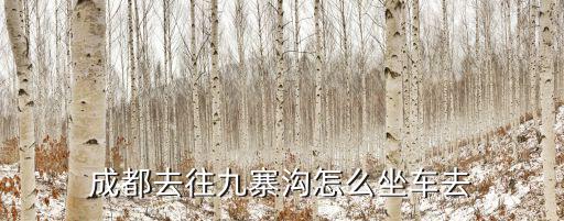 成都去往九寨溝怎么坐車去