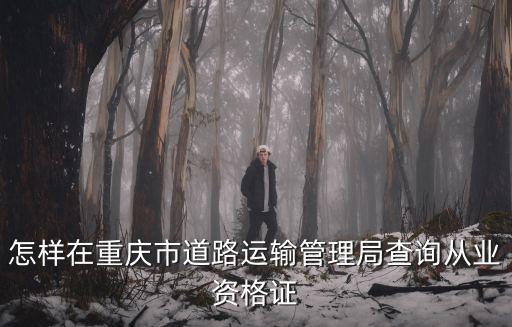 重慶市運管局，怎樣在重慶市道路運輸管理局查詢從業(yè)資格證